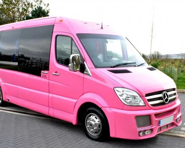 Pink Limos Pink Limos