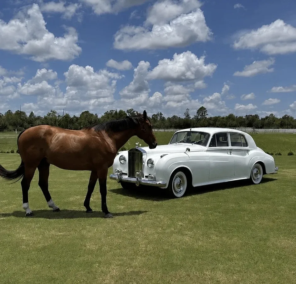 White 1960 Rolls Royce Silver Cloud, photo 4 for wedding car rental in Lee County, FL