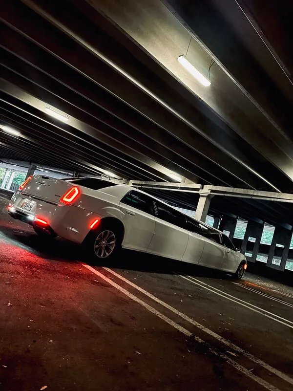 White Chrysler 300 Jet Doors exterior, photo 12 for wedding car rental